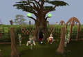 TreeGnomeVil - OrbCeremony.png