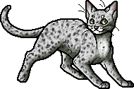 Ferncloud.apprentice.png