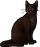 Dustpelt.warrior.png