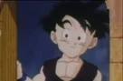 Gohan d 5