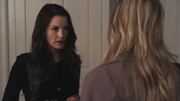 PLL204-1082
