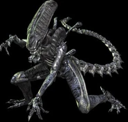 Aliens