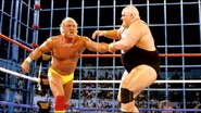 Steel Cage Images.4