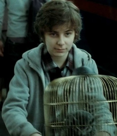 James Sirius Potter - Harry Potter-wikin