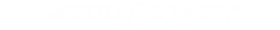 Risen-About.png