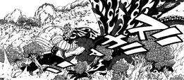 Fairytail13