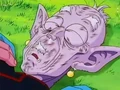 Dbz235 - (by dbzf.ten.lt) 20120324-21191503