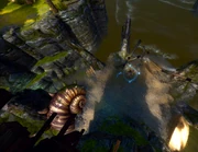 Tidal jump