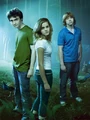 Harry-potter-ron-harry-hermione.jpg