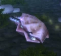 AncientClam.jpg