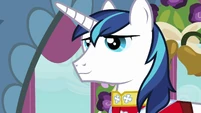 Shining Armor smiling S2E26
