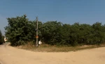Zarośla przy ul. Kamykowej – tutaj znajdował się cmentarz ewangelicki w Brzezinach