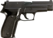 350px-SigP226