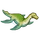 Cryptoclidus