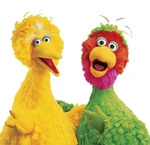 AbelardoandBigBird