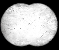 Binoculars overlay CoD2