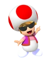 Zip Toad.png