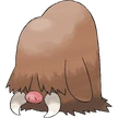 221Piloswine.png