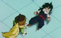 Salt fights gohan13