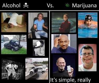 Alcohol versus marijuana. Many photos