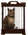 Tabby-cat-lrg.png