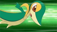 EP661 Snivy usando Placaje