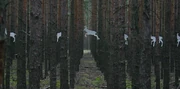 IMG 0048