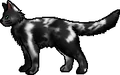Patchfoot.rogue.png