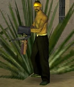 VagosLanzallamas