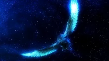 Soren4