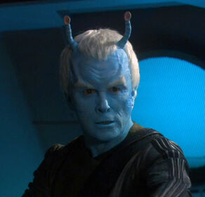 Obrazek