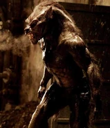 Razelycanform