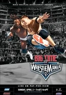 WM 22 poster