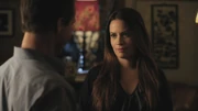PLL205-1032