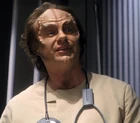 Phlox, 2151