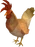 EvilChickenHD
