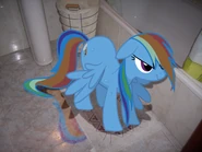 002 - Bath