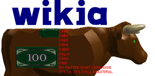 CASH7