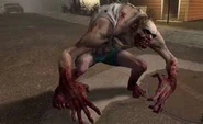 ThumbnailCA9ORHAP