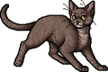 Birchfall.apprentice.png