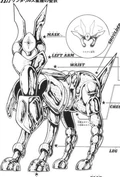 Armadura de Centauro