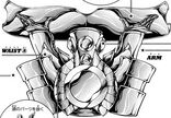 Armadura de Altar