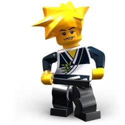 Ninja 3