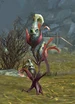 Ripened Frightcorn
