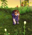 AmurTiger.jpg