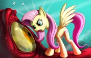 Fluttershy Staring Down Dragon by SEMC