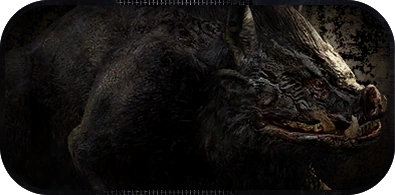 Dzik.png