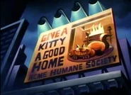 AcmeHumaneSocietyBillboard