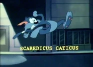 Furrball-ScaredicusCaticus