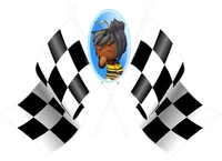 RoxieMSR